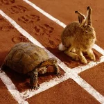 Slow and Steady Wins the Race: The Tortoise and the Hare of Financial Freedom